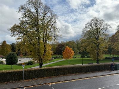 Picture 7